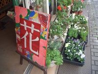 flower shop fioretto