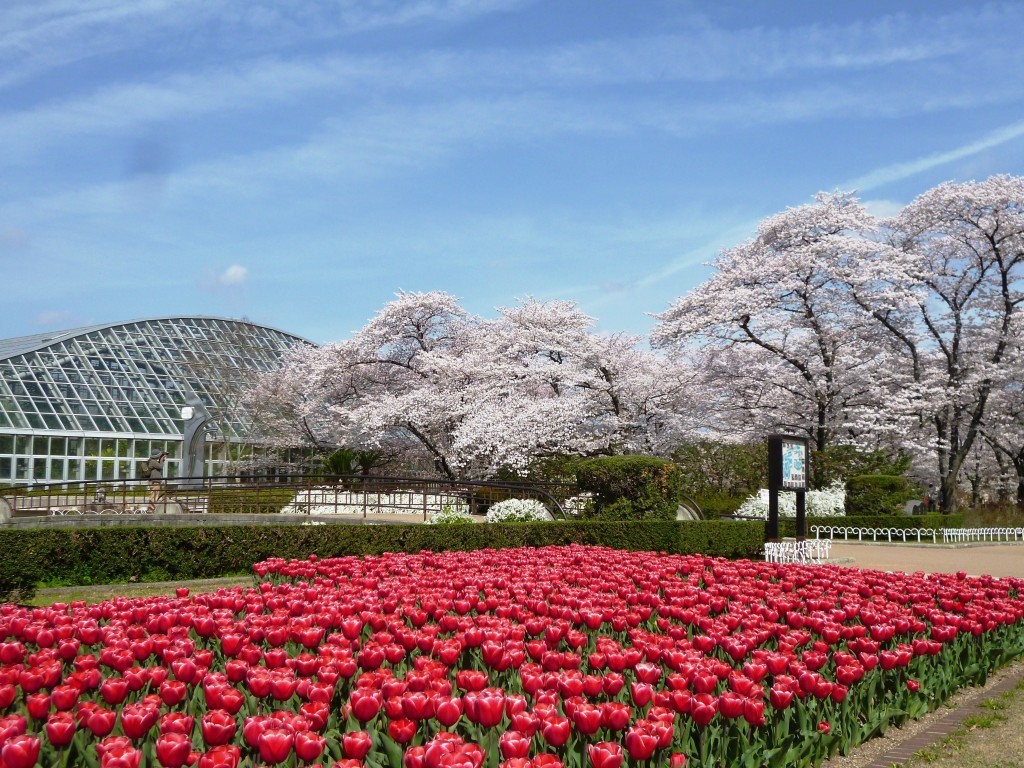 子育て応援パスポートサイト      京都府立植物園