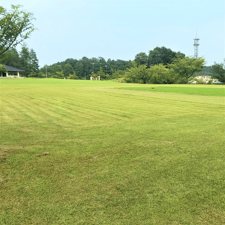 大宮町自然運動公園