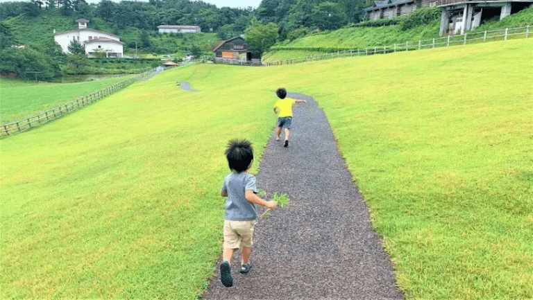 碇高原牧場