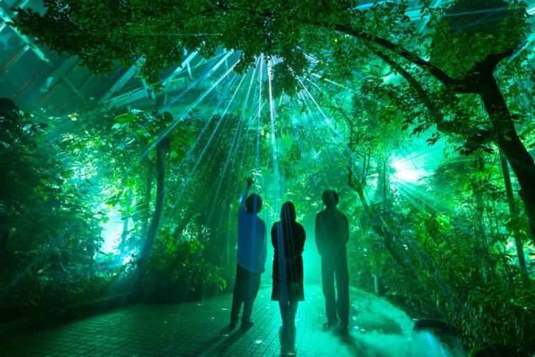 京都府立植物園（LIGHT CYCLES KYOTO）