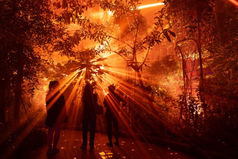 植物園（LIGHT CYCLES KYOTO）