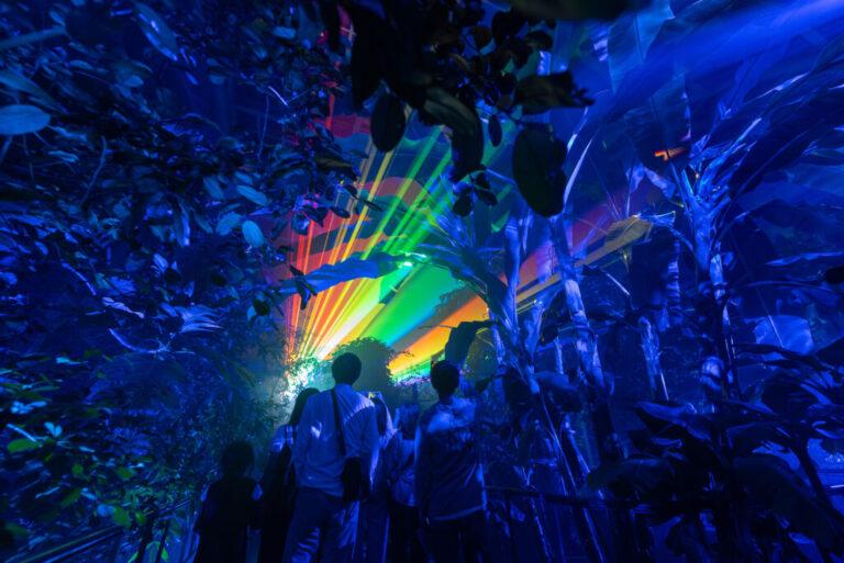 京都府立植物園（LIGHT CYCLES KYOTO）